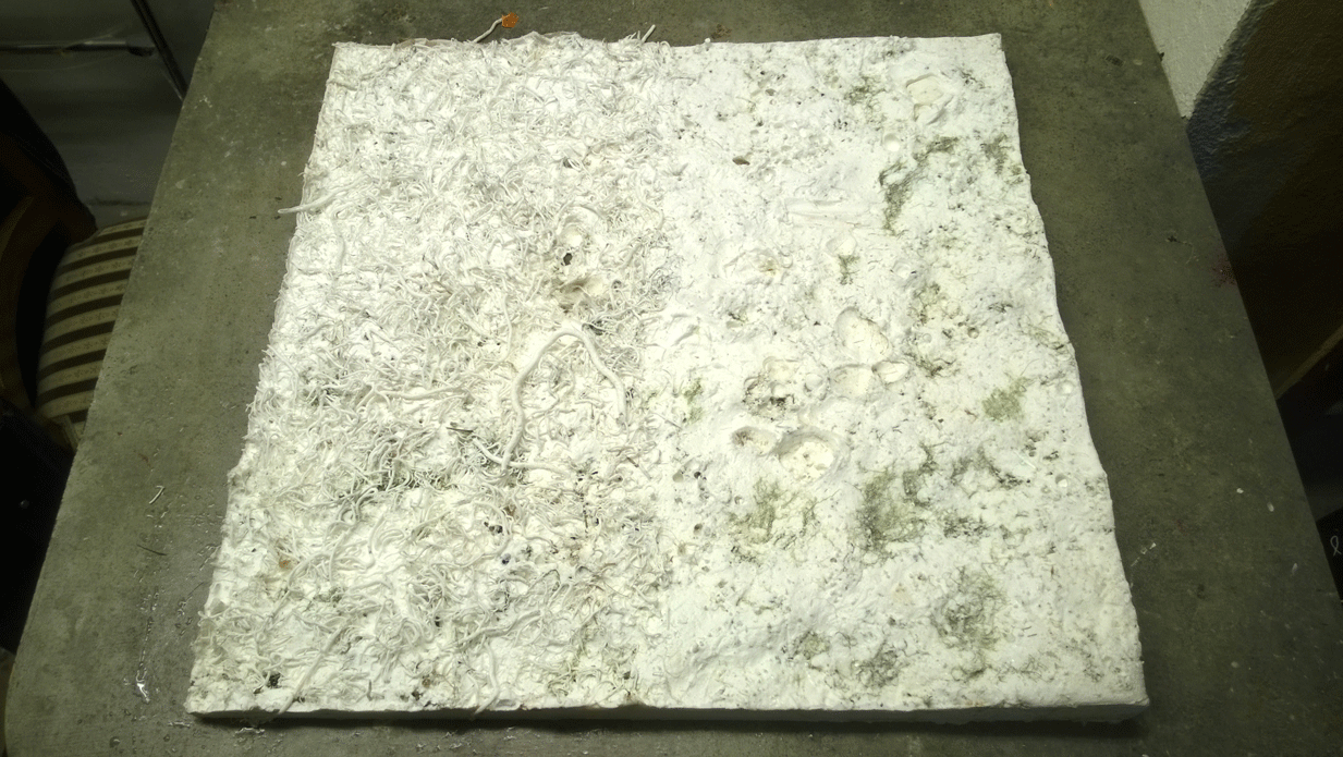 Silicone mold of ocean floor
